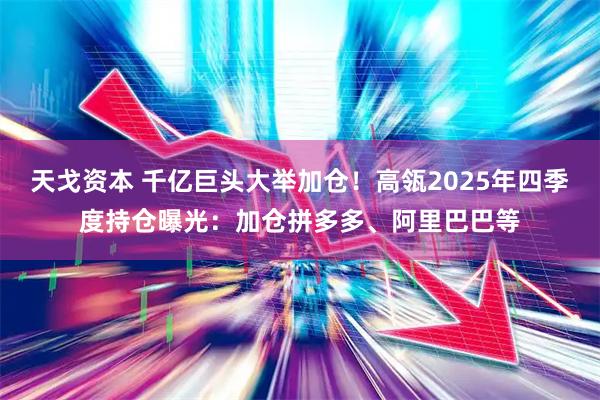 天戈资本 千亿巨头大举加仓！高瓴2025年四季度持仓曝光：加仓拼多多、阿里巴巴等