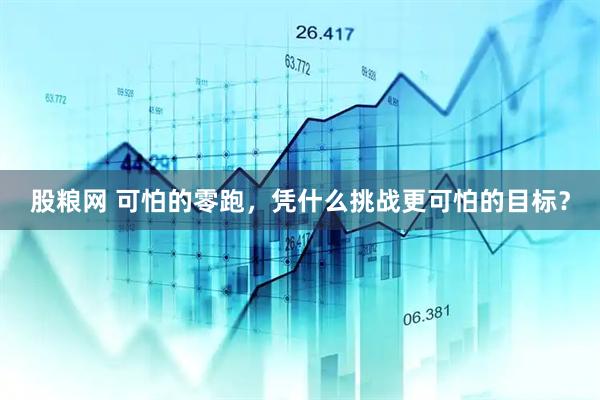 股粮网 可怕的零跑，凭什么挑战更可怕的目标？