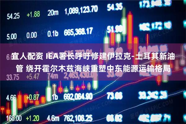 宜人配资 IEA署长呼吁修建伊拉克-土耳其新油管 绕开霍尔木兹海峡重塑中东能源运输格局