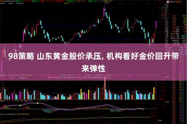 98策略 山东黄金股价承压, 机构看好金价回升带来弹性
