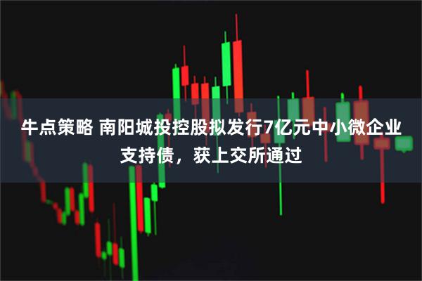 牛点策略 南阳城投控股拟发行7亿元中小微企业支持债，获上交所通过