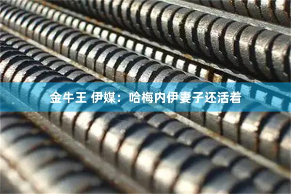 金牛王 伊媒：哈梅内伊妻子还活着